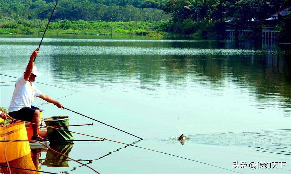 自制饵料须要关注什么细节,自制饵料基础方法有哪些