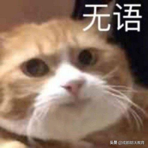 学习通崩了的原因,学习通崩溃