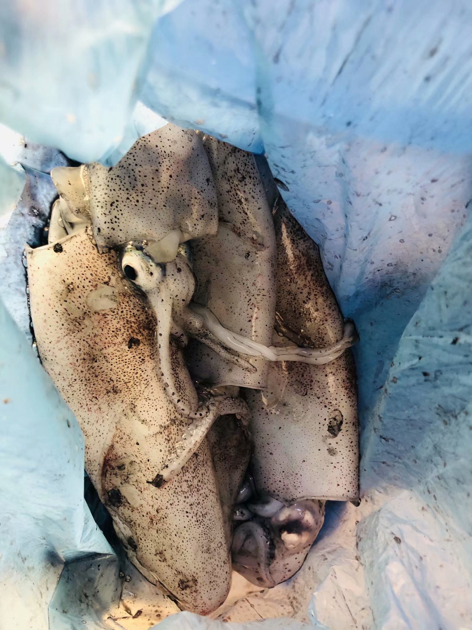 成都夫妻7天花5000玩遍涠洲岛（最后有防踩坑攻略）