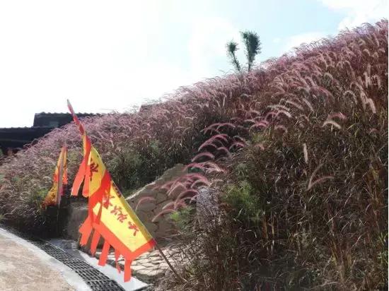暑假两个月太无聊怎么办,暑假2个月无聊怎么办
