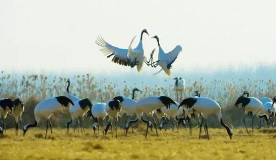 2022年盐城市英语中考试卷及答案,2022年盐城中考英语答案