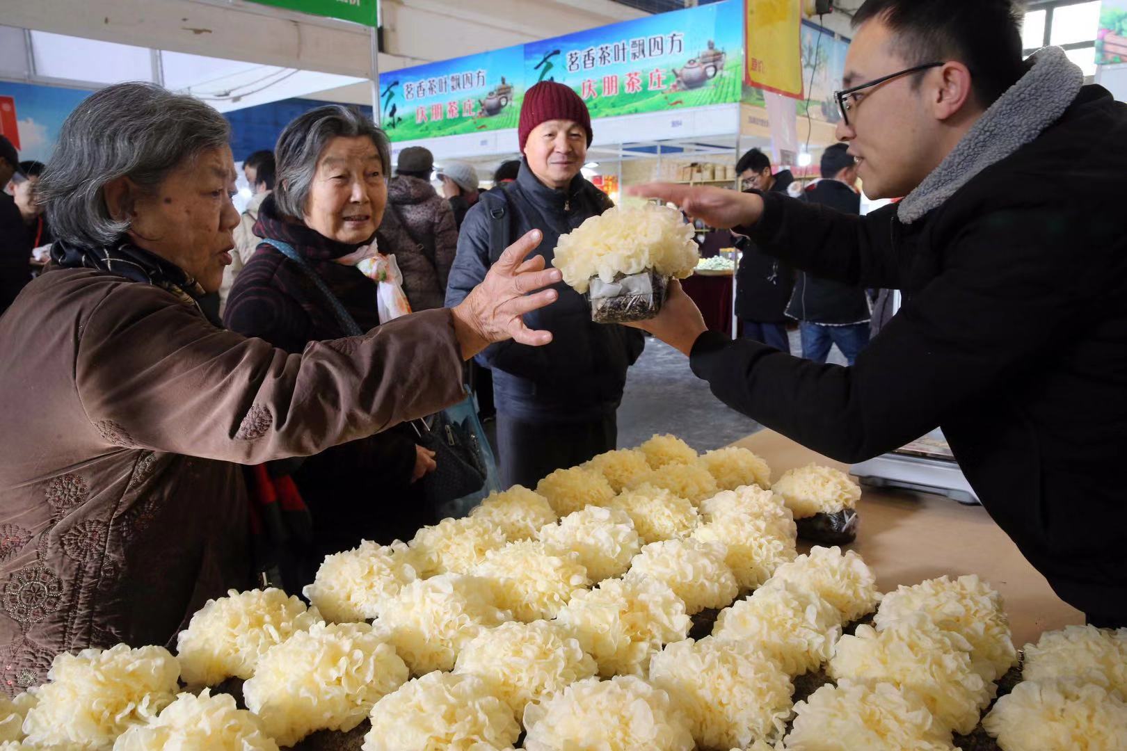 天津果蔬节展销会,天津市西红柿节