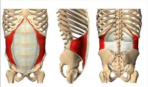 怎么练卷腹都感觉肚子胖,卷腹做多了增大腰围