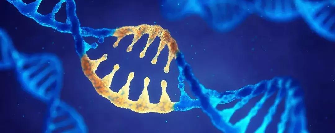 科学家找到癌细胞的生死开关,科学家找到了癌症的开关