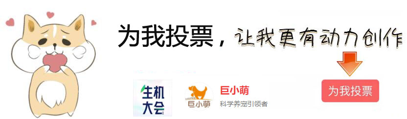 狗狗脚肿了不敢落地是不是骨折了,狗狗脚一瘸一拐怎么回事