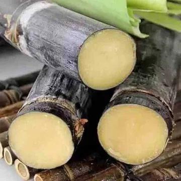 甘蔗甜过初恋,黑皮甘蔗哪头甜