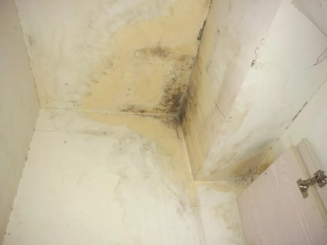 厨卫异味怎么处理,厨卫垃圾怎么处理