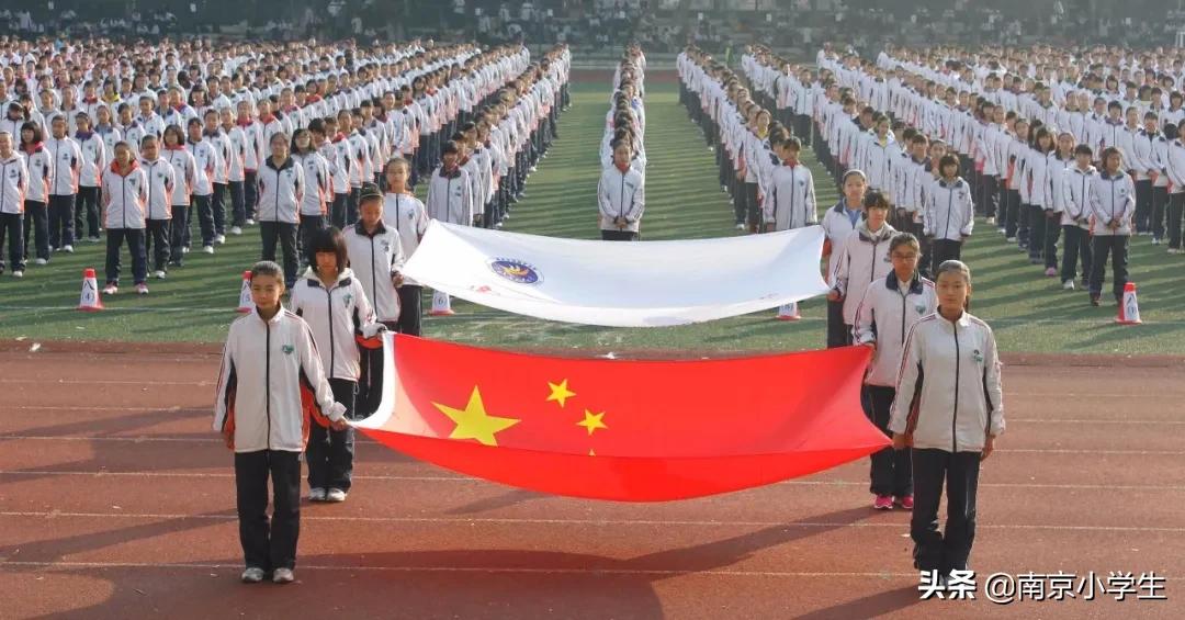 南京十所小学排名,南京10大民办中学