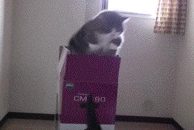 闲鱼外国卖家沙雕,外国闲鱼卖家沙雕