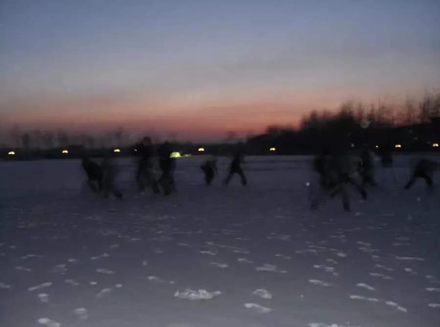 外面零下20℃，绿岛却沸腾了...