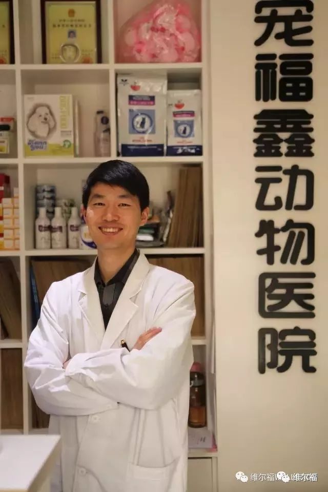 请用绝育保护它——宠物营养师亲身讲述自家爱犬绝育经历