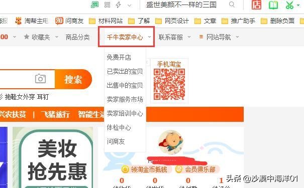 淘宝虚拟网店,淘宝开店怎么申请代销