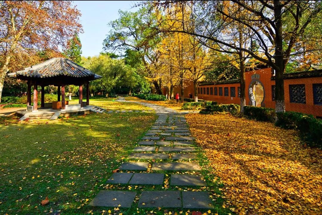 最漂亮的雨花台,雨花台风景太美了