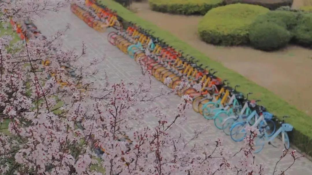 江苏财经大学,南京财经大学双非院校排名