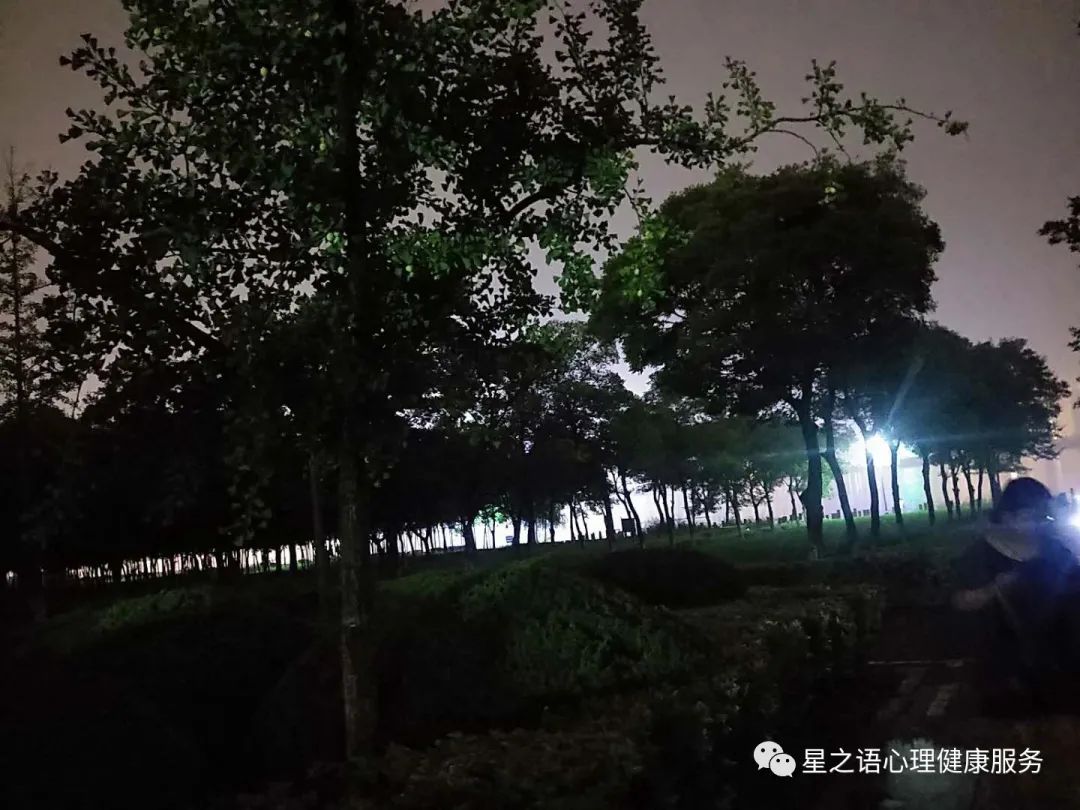 给孩子断了网络以后该再放手吗,给孩子断网真的好吗