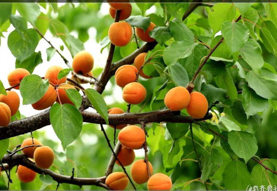 高二是一个至关重要的阶段,高二是学生承上启下的关键时刻吗