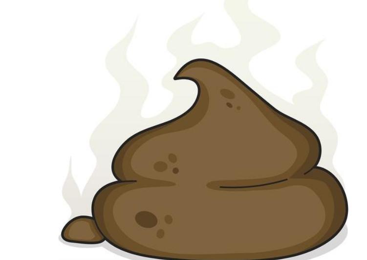 兽医提醒：你这样饲养巴哥犬，不是个合格的主人