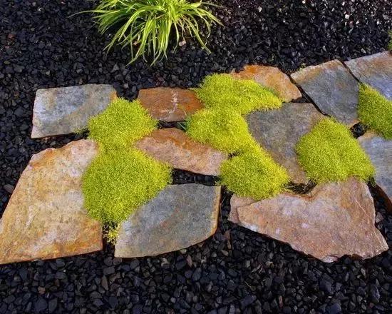 庭院铺装哪种方式效果最好,庭院地面铺装大理石效果图