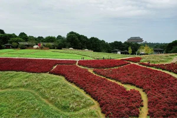 成都石象湖景区天气预报,成都石象湖的秋季