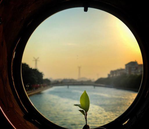 鸽群飞翔，厦门最大的全开放广场公园