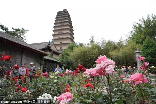 2018特价机票北京出发,6月北京出发低价机票