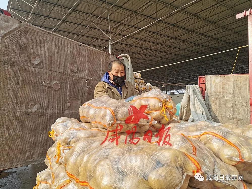 请淡定txt免费,疫情期间咸阳菜篮子