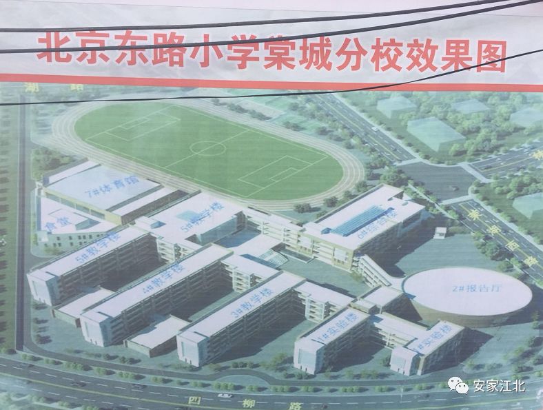 北京东路小学开发区分校,北京东路小学分校紫金分校怎么样