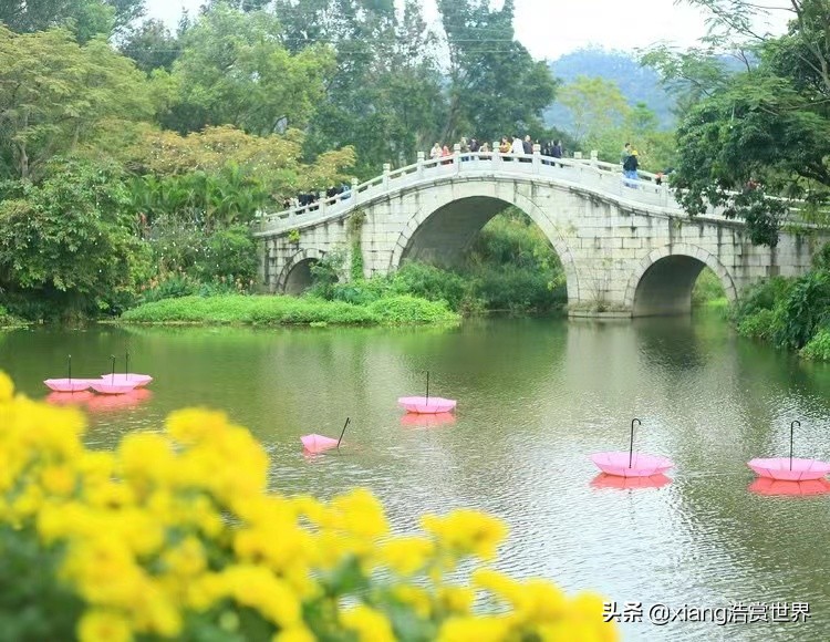 深圳最值得拍照的公园,深圳风景最好看的公园
