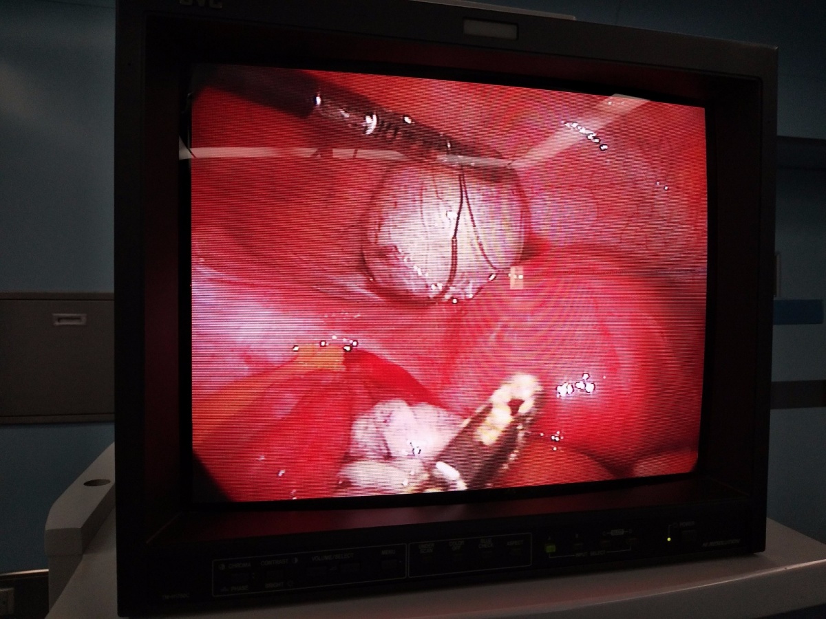 感恩相伴·为爱同行｜2018贞德VIP会员答谢会邀您前来！