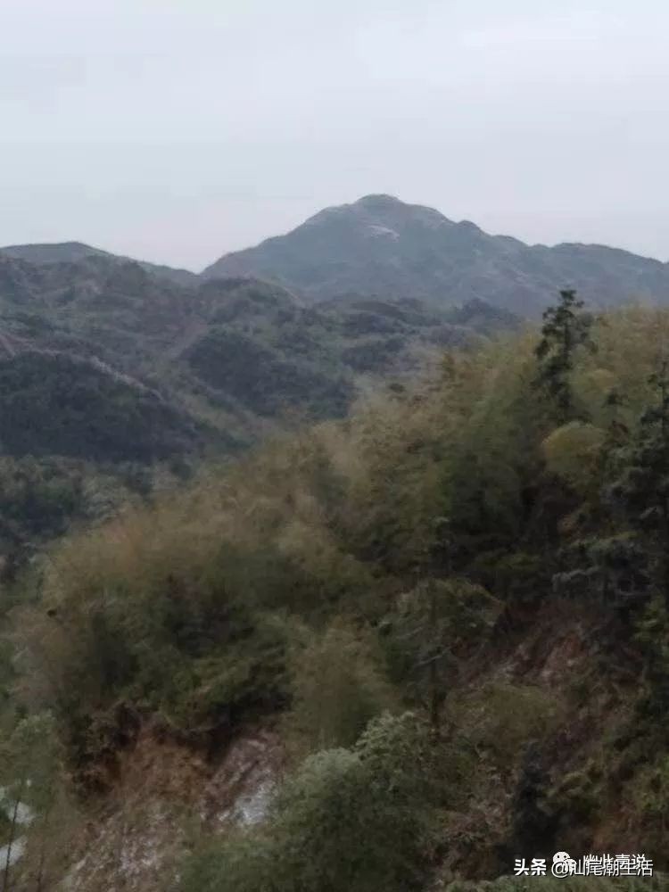 万万没想到金庸,陆河圣峰嶂