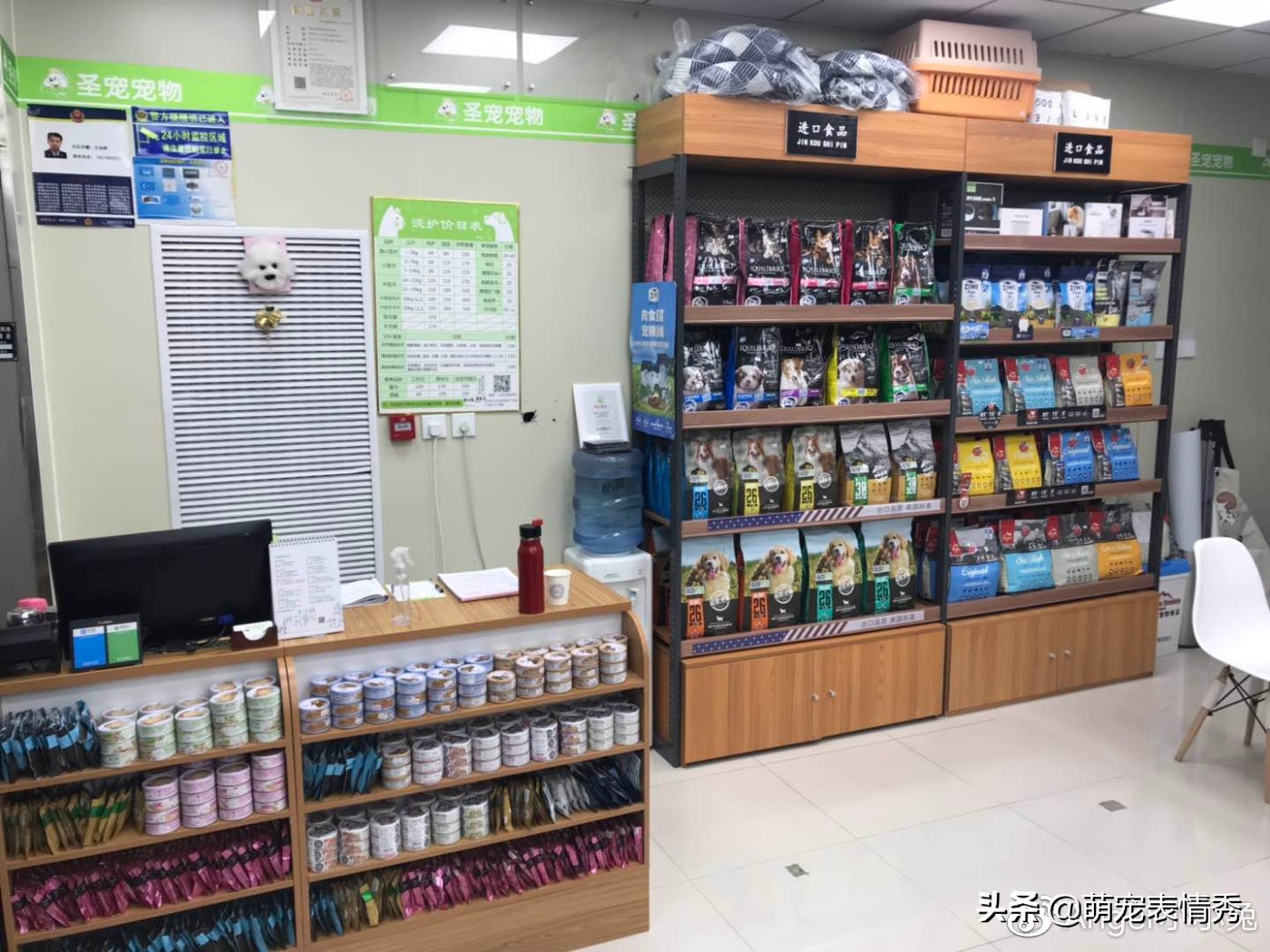 宠物店工作需要什么条件,想去宠物店打工需要什么条件