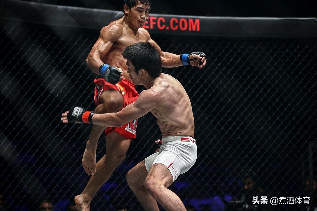 灵动而犀利，在综合格斗赛场解锁散打技巧