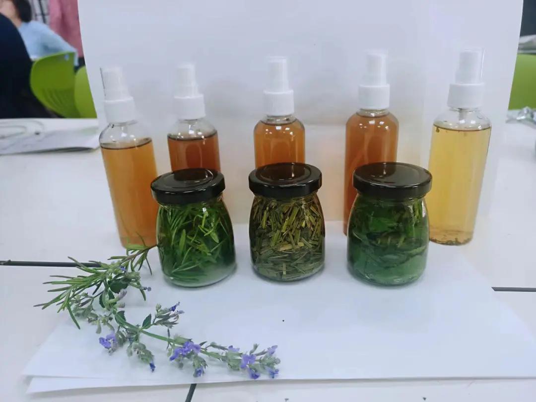 园林与园艺滋养生命的关系,中国传统园林和古典园林的区别