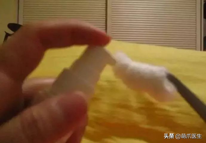 给猫狗清洁耳道切勿用镊子缠棉花捅插，这样做才是正确做法
