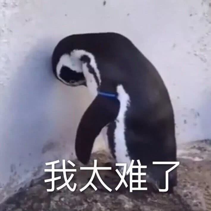 装修小白必看卧室装修攻略,装修小白必看半包装修关注事项