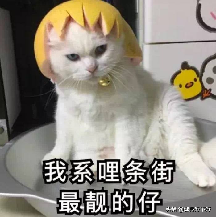 怎样练出鲨鱼肌人鱼线马甲线,人鱼线马甲线快速成型的方法