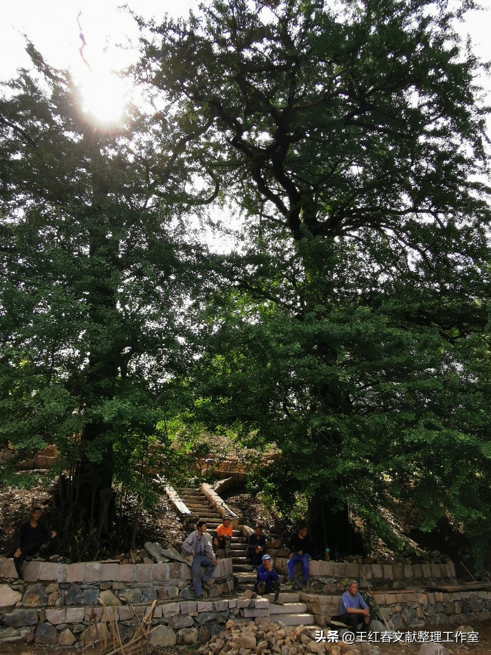 昱岭关和哪里交界,昱岭关岭脚村