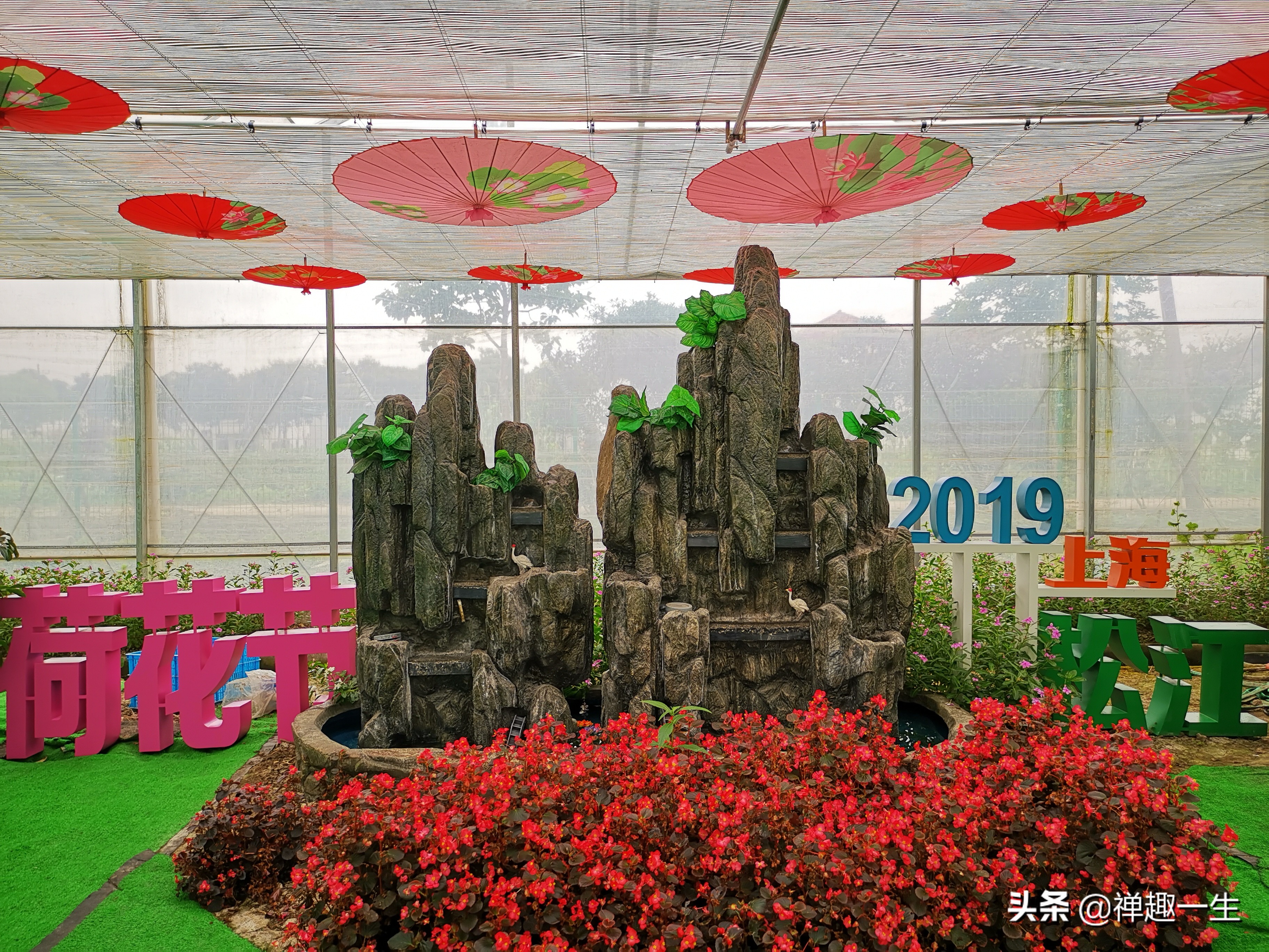 辰山植物园荷花研究基地,中科院上海辰山植物科研中心