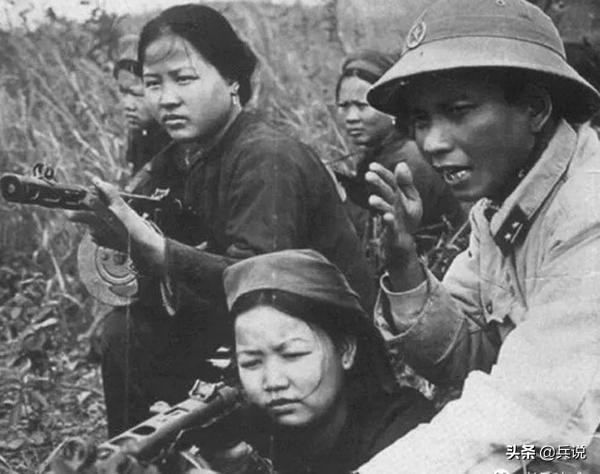 东线对越反击战,对越反击西线