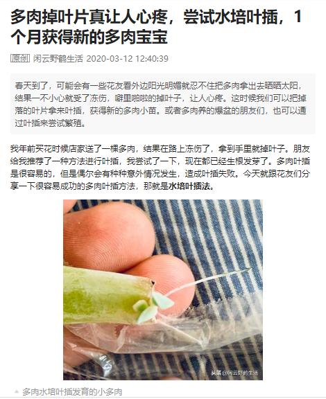 课代表干货笔记|为什么我的作业总得不了满分？评分标准大公开！