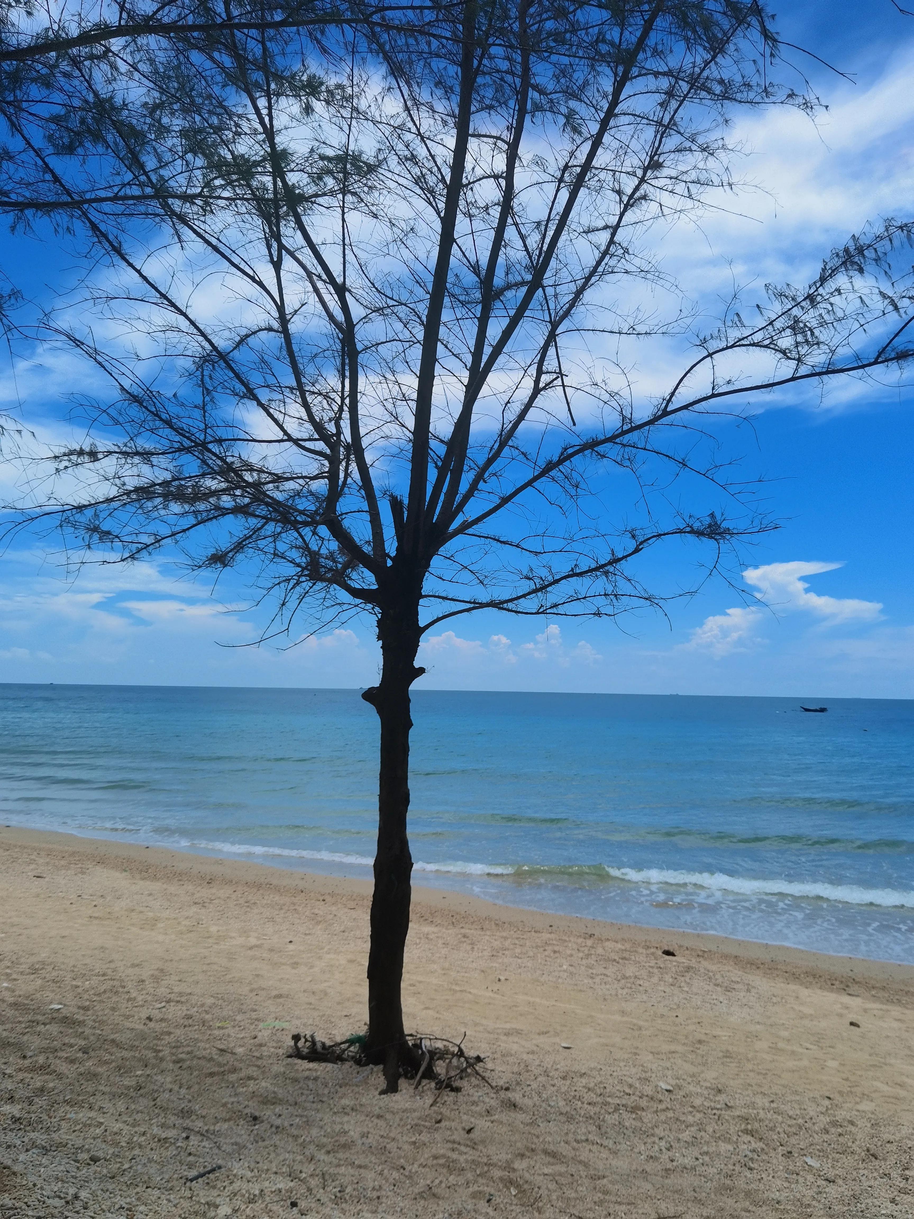 北海涠洲岛旅游景点,涠洲岛到北海要多久