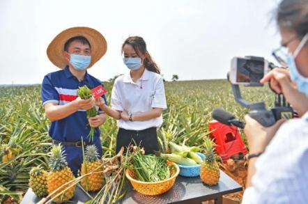 马云说2019年怎样致富,马云预测农村未来哪个行业最好