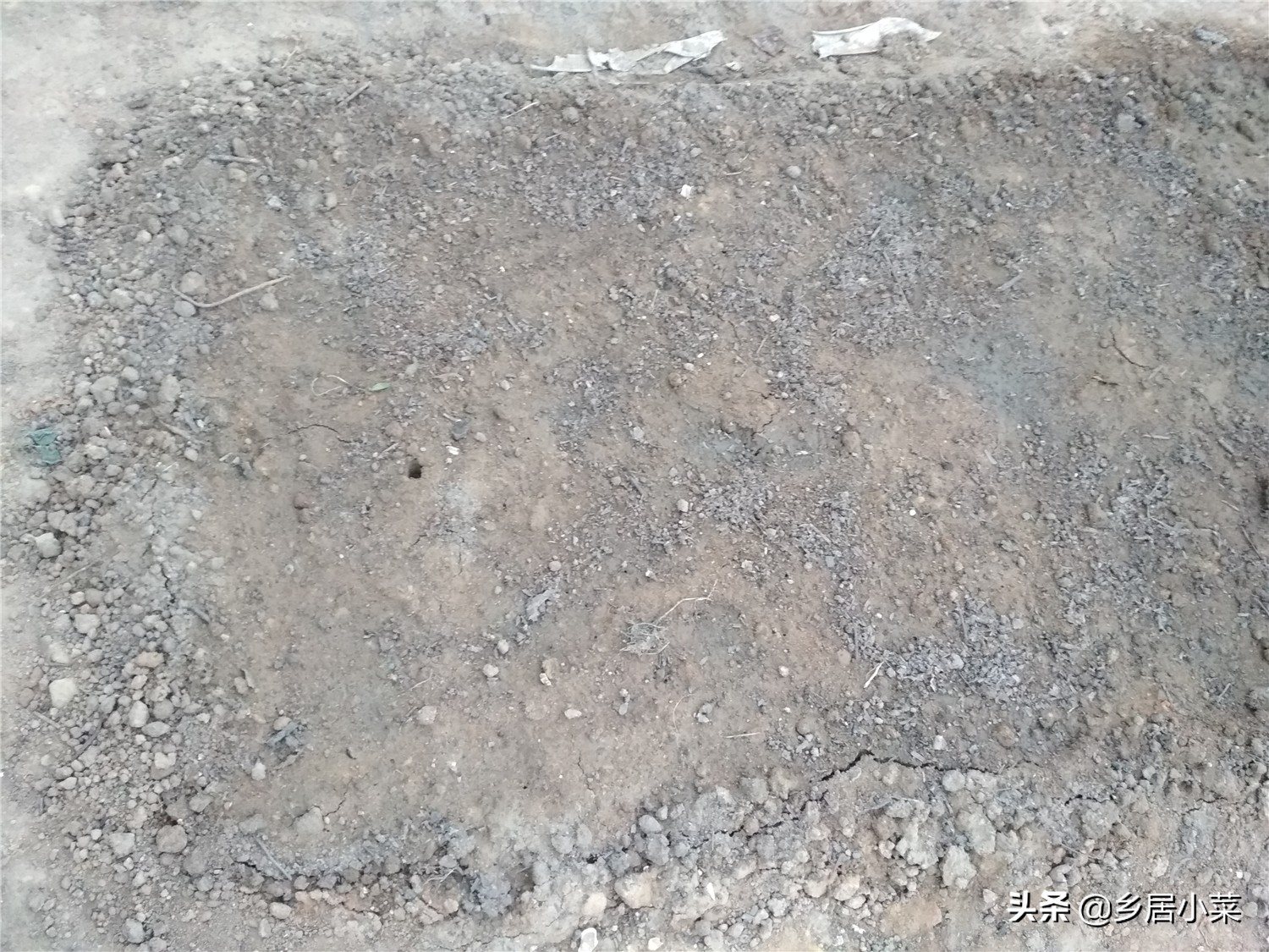 怎样让菜地土质松软,怎样才能把菜地的土壤弄得很松软