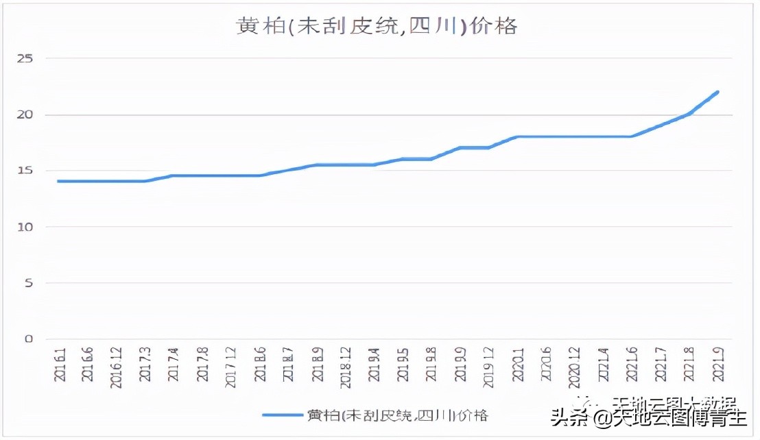 中药材黄柏的目前市场行情,2023中药材黄柏的目前市场行情
