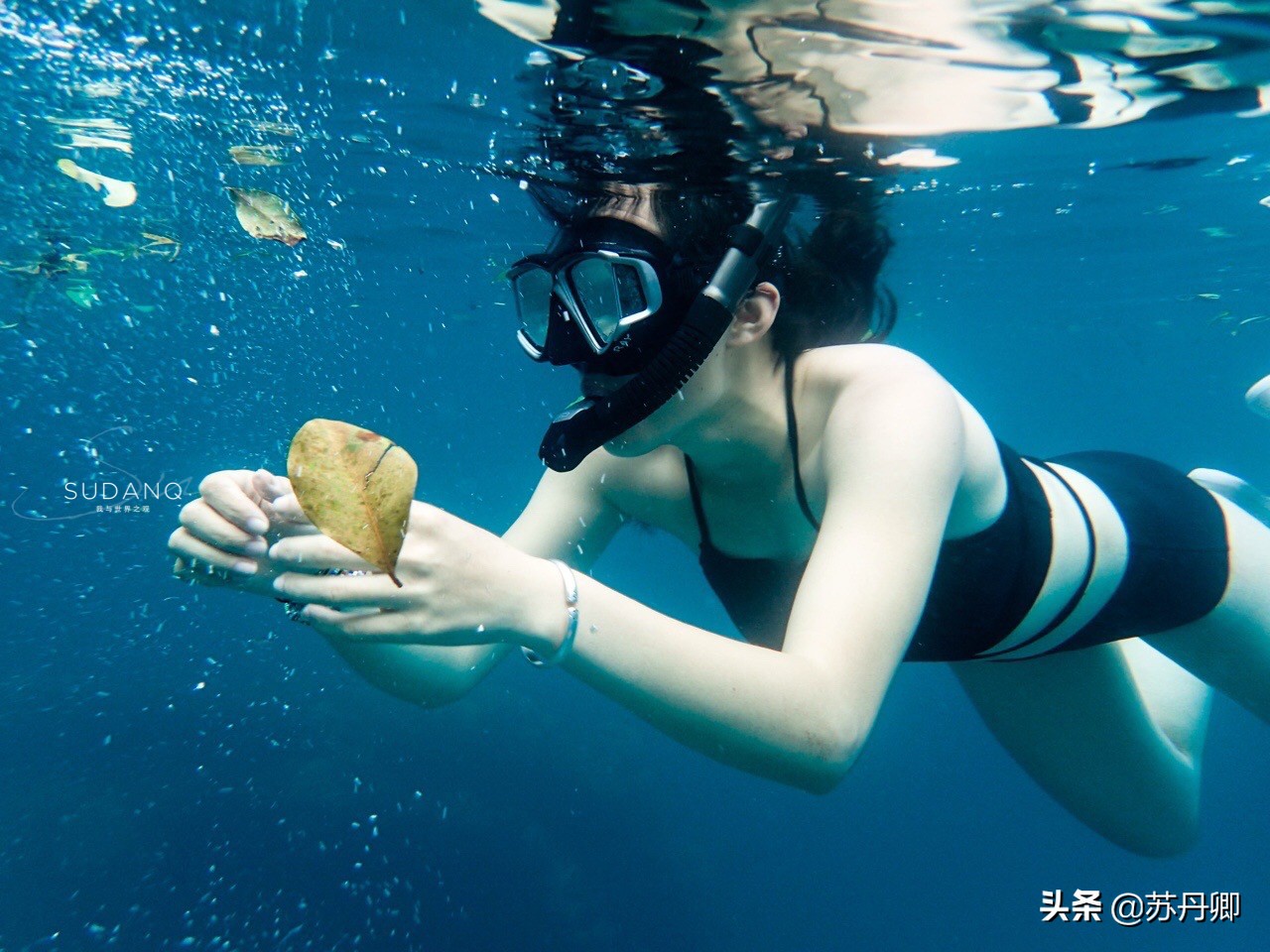 不会游泳也能遨游在海洋,不会游泳可以深海潜水吗