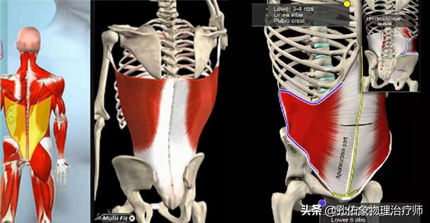 腰酸胀是什么预兆,腰酸疼警惕四种原因