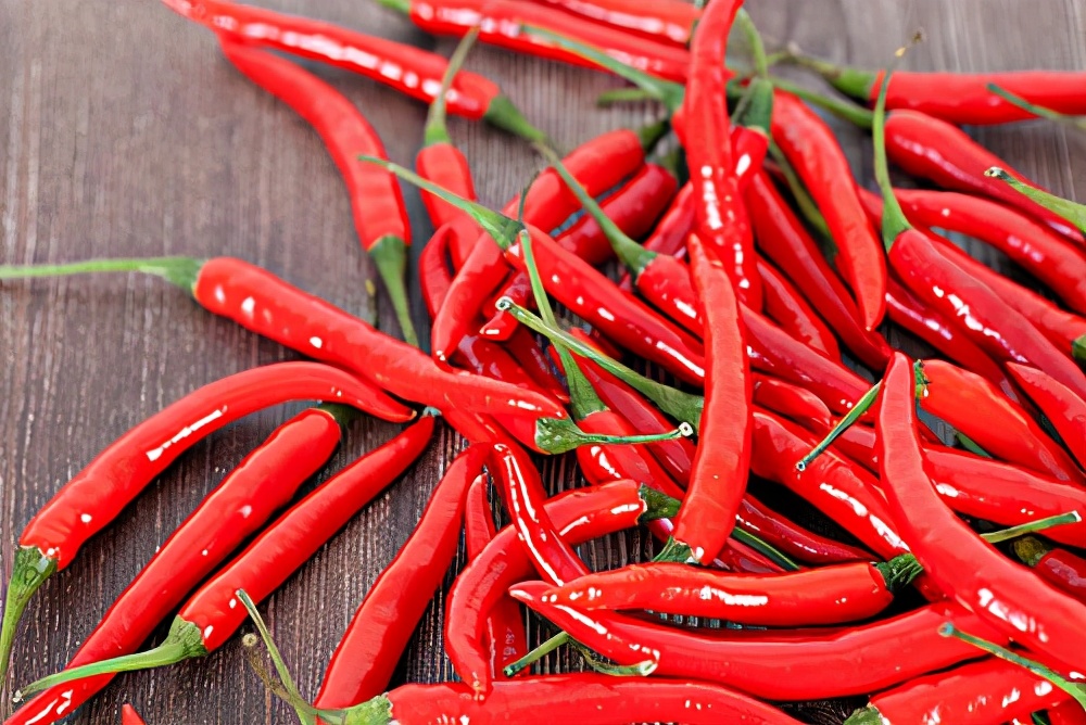 下饭辣椒酱的做法最正宗的做法,下饭烤辣椒酱的制作方法视频