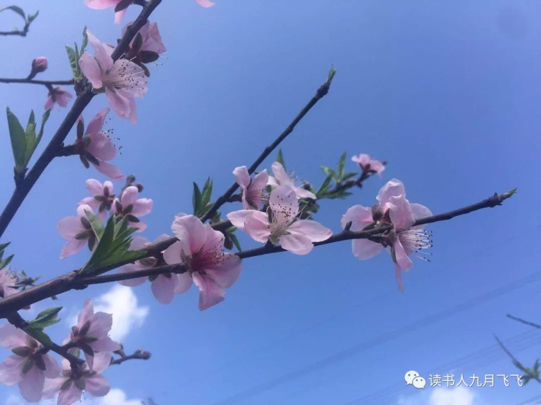 普通人如何投资赚钱,普通人怎样投资最好