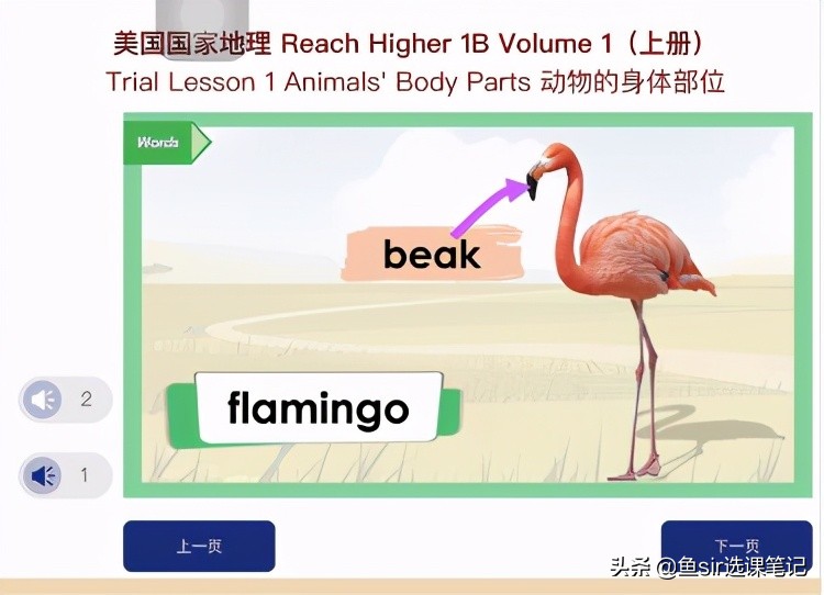 阿卡索学英语口碑如何,阿卡索英语半年课价钱