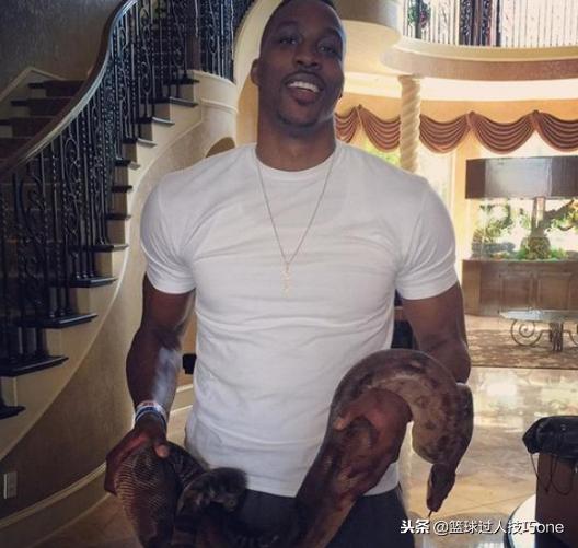 nba球星奇葩爱好,nba球员奇葩的宠物